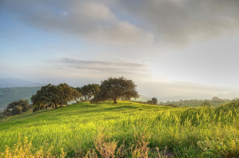landscape-image